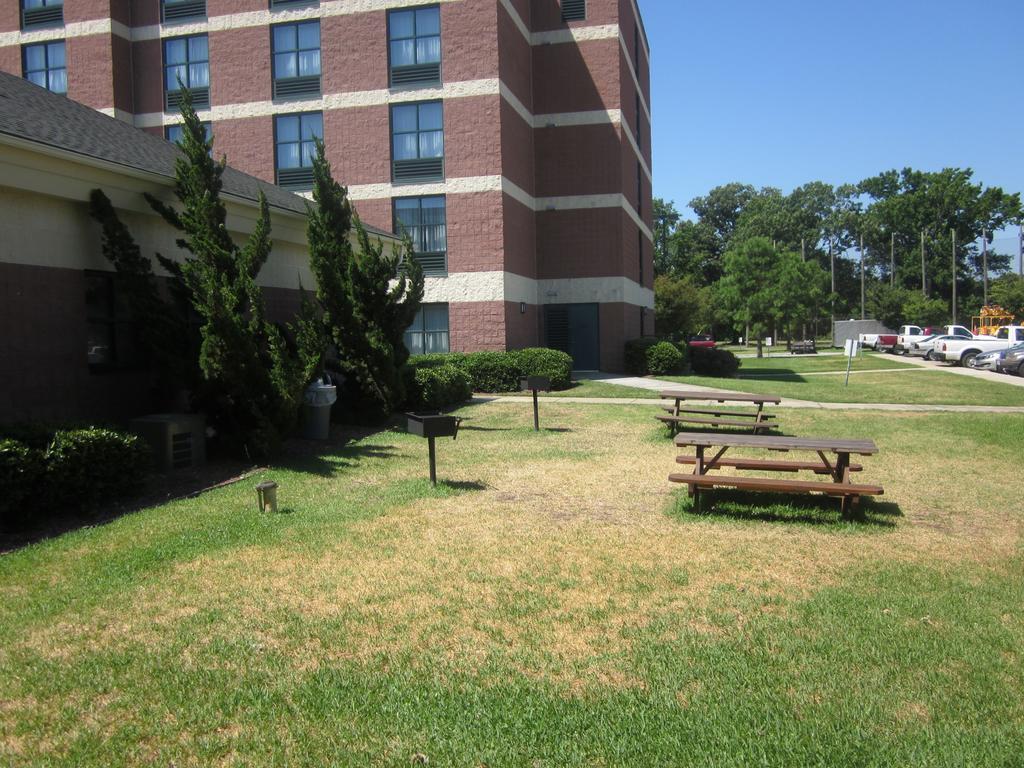 Sleep Inn Lake Wright - Norfolk Airport Bagian luar foto
